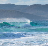 Full Day Tour Hobart East Coast Classic Wine Beach Oysters Seafood  Berries - Accommodation Sunshine Coast