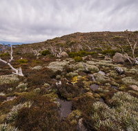 Alpine Loop - Accommodation Sunshine Coast