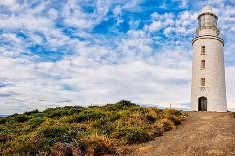 Bruny Island Private Charter Service - Accommodation Sunshine Coast 3