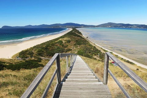 Bruny Island Private Charter Service - Accommodation Sunshine Coast 2