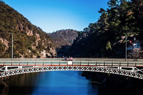 3.5 Hours Walking Tour To Cataract Gorge With Local Guide - Accommodation Sunshine Coast 5