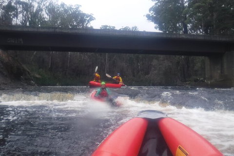 Twin Rivers Winter Adventure - Accommodation Sunshine Coast 4