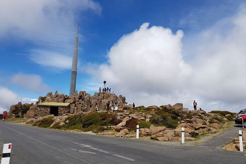 Mt. Wellington Morning Hike + Afternoon Beer & History Walk - Accommodation Sunshine Coast 21