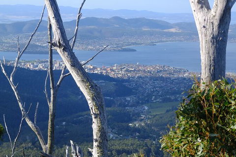 Mt. Wellington Morning Hike + Afternoon Beer & History Walk - Accommodation Sunshine Coast 10