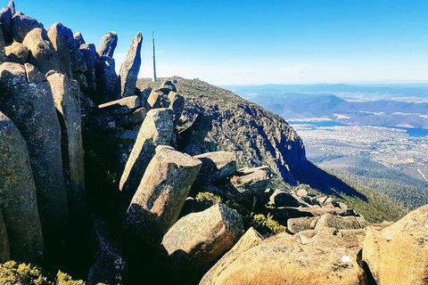 Mt. Wellington Morning Hike + Afternoon Beer & History Walk - Accommodation Sunshine Coast 11