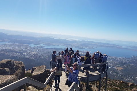 Mt. Wellington Morning Hike + Afternoon Beer & History Walk - Accommodation Sunshine Coast 2