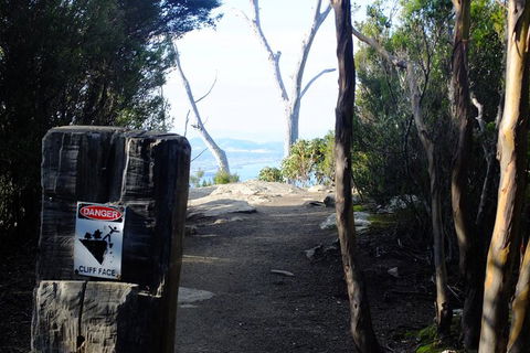 Mt. Wellington Morning Hike + Afternoon Beer & History Walk - Accommodation Sunshine Coast 14