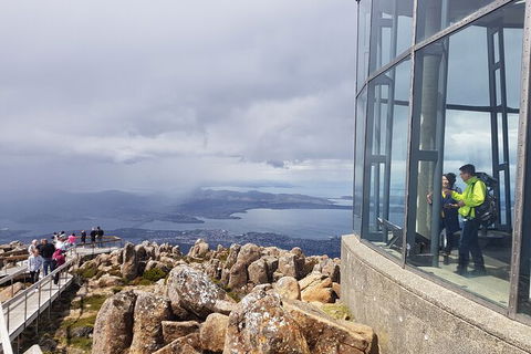 Mt. Wellington Morning Hike + Afternoon Beer & History Walk - Accommodation Sunshine Coast 12