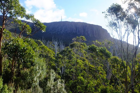 Mt. Wellington Morning Hike + Afternoon Beer & History Walk - Accommodation Sunshine Coast 4