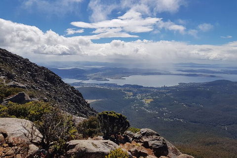 Mt. Wellington Morning Hike + Afternoon Beer & History Walk - Accommodation Sunshine Coast 5