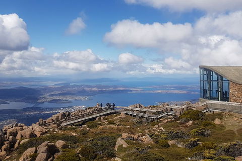 Mt. Wellington Morning Hike + Afternoon Beer & History Walk - Accommodation Sunshine Coast 3