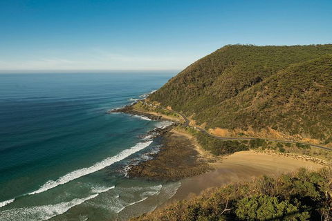 Express Helicopter Fly & Drive Great Ocean Road - Gourmet Luxury Tour - Accommodation Sunshine Coast 5