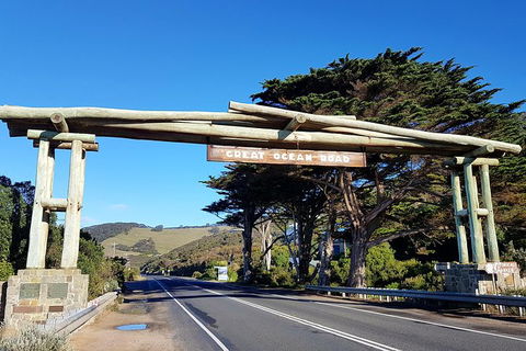 Express Helicopter Fly & Drive Great Ocean Road - Gourmet Luxury Tour - Accommodation Sunshine Coast 8