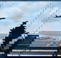 Private Transfer Avalon International Airport AVV to Melbourne - Accommodation Sunshine Coast
