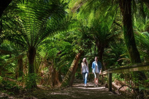 The Great Ocean Road Private 1 Day Tour - Accommodation Sunshine Coast 2