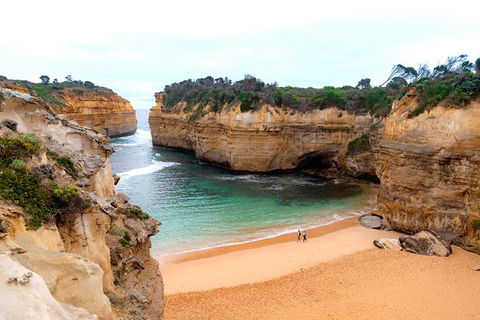 The Great Ocean Road Private 1 Day Tour - Accommodation Sunshine Coast 6