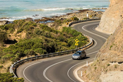 The Great Ocean Road Private 1 Day Tour - Accommodation Sunshine Coast 5