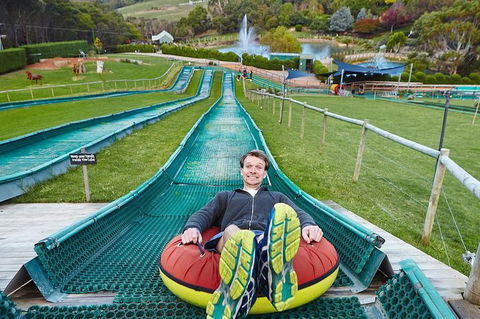 Enchanted Eagle Tour - Accommodation Sunshine Coast 4