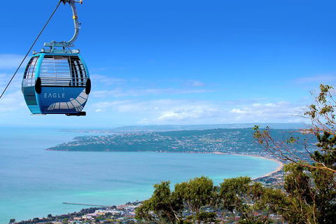 Enchanted Eagle Tour - Accommodation Sunshine Coast 9