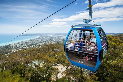 Enchanted Eagle Tour - Accommodation Sunshine Coast 3