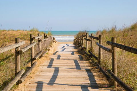Cruise Ship Shore Excursion - Private Great Ocean Road Full Day Tour (12 Hour) - Accommodation Sunshine Coast 0
