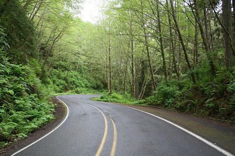 Cruise Ship Shore Excursion - Private Great Ocean Road Full Day Tour (12 Hour) - Accommodation Sunshine Coast 1