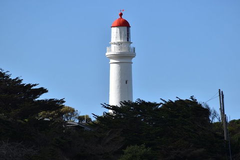 Great Ocean Road Tour Plus Koalas, Forest Walk And Morning Tea. - Accommodation Sunshine Coast 1