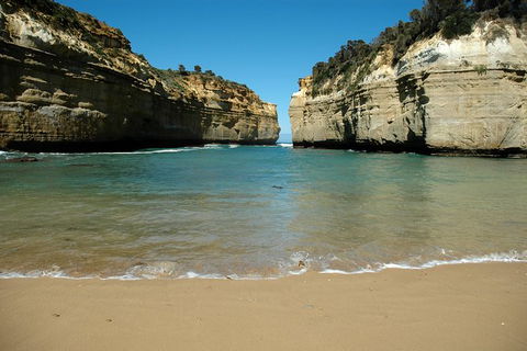 Great Ocean Road Tour Plus Koalas, Forest Walk And Morning Tea. - Accommodation Sunshine Coast 4