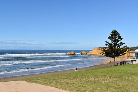 Great Ocean Road Tour Plus Koalas, Forest Walk And Morning Tea. - Accommodation Sunshine Coast 3