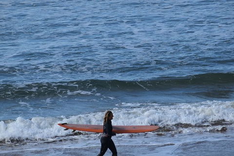 Great Ocean Road Tour Plus Koalas, Forest Walk And Morning Tea. - Accommodation Sunshine Coast 8