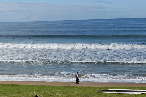 Great Ocean Road Tour Plus Koalas, Forest Walk And Morning Tea. - Accommodation Sunshine Coast 9