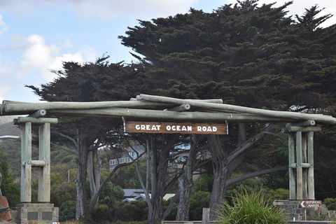 Great Ocean Road Tour Plus Koalas, Forest Walk And Morning Tea. - Accommodation Sunshine Coast 7