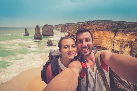 Great Ocean Road Tour Plus Koalas, Forest Walk And Morning Tea. - Accommodation Sunshine Coast 5