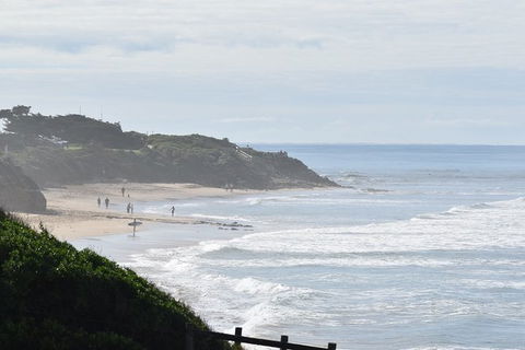 Great Ocean Road Tour Plus Koalas, Forest Walk And Morning Tea. - Accommodation Sunshine Coast 10