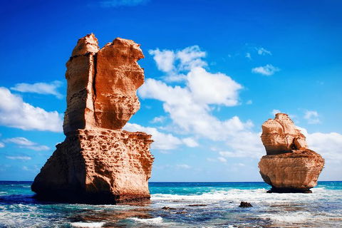 Great Ocean Road Tour Plus Koalas, Forest Walk And Morning Tea. - Accommodation Sunshine Coast 11