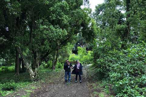 Alices Journeys Guided Walking Tours Of Daylesford - Accommodation Sunshine Coast 5