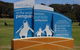 Experience Phillip Island From Inches - thumb 0