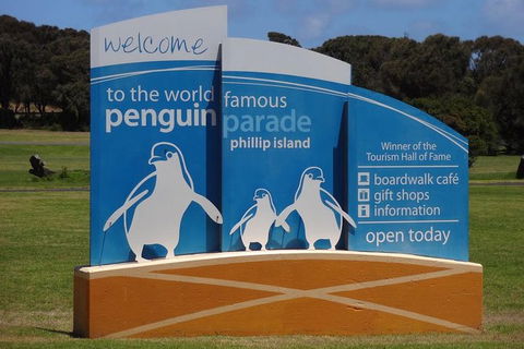 Experience Phillip Island From Inches - Accommodation Sunshine Coast 0