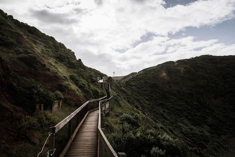 Explore Coastlines: Mornington Peninsula & Hot Springs Tour - Accommodation Sunshine Coast 2