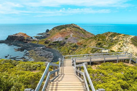 Explore Coastlines: Mornington Peninsula & Hot Springs Tour - Accommodation Sunshine Coast 3