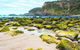 Explore Coastlines: Mornington Peninsula & Hot Springs Tour - thumb 4