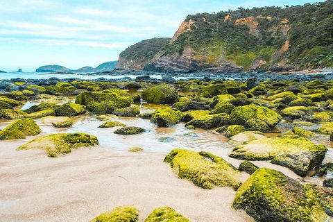 Explore Coastlines: Mornington Peninsula & Hot Springs Tour - Accommodation Sunshine Coast 4