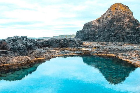 Explore Coastlines: Mornington Peninsula & Hot Springs Tour - Accommodation Sunshine Coast 5