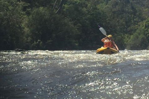 Yarra River Half-Day Rafting Experience - Accommodation Sunshine Coast 5
