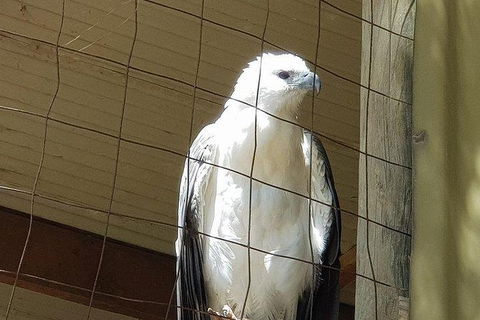 Phillip Island Penguin And Wildlife Tour - Accommodation Sunshine Coast 21