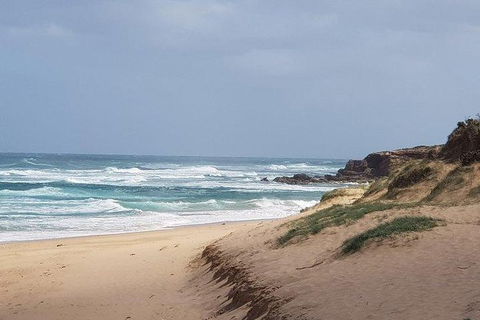 Phillip Island Penguin And Wildlife Tour - Accommodation Sunshine Coast 10