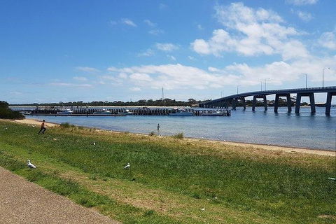 Phillip Island Penguin And Wildlife Tour - Accommodation Sunshine Coast 24