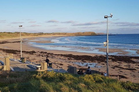 Phillip Island Penguin And Wildlife Tour - Accommodation Sunshine Coast 8