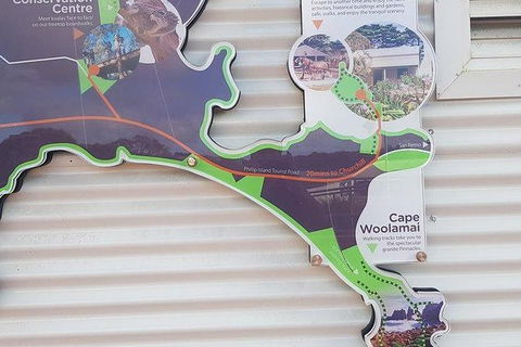 Phillip Island Penguin And Wildlife Tour - Accommodation Sunshine Coast 29