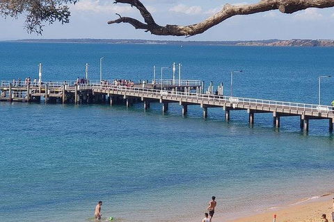 Phillip Island Penguin And Wildlife Tour - Accommodation Sunshine Coast 2